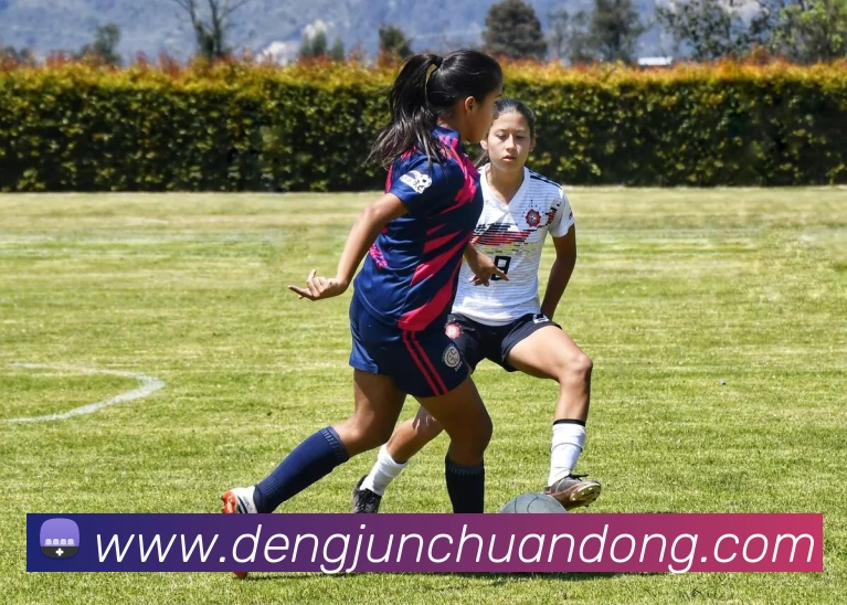 世界杯官方网络平台服务体系